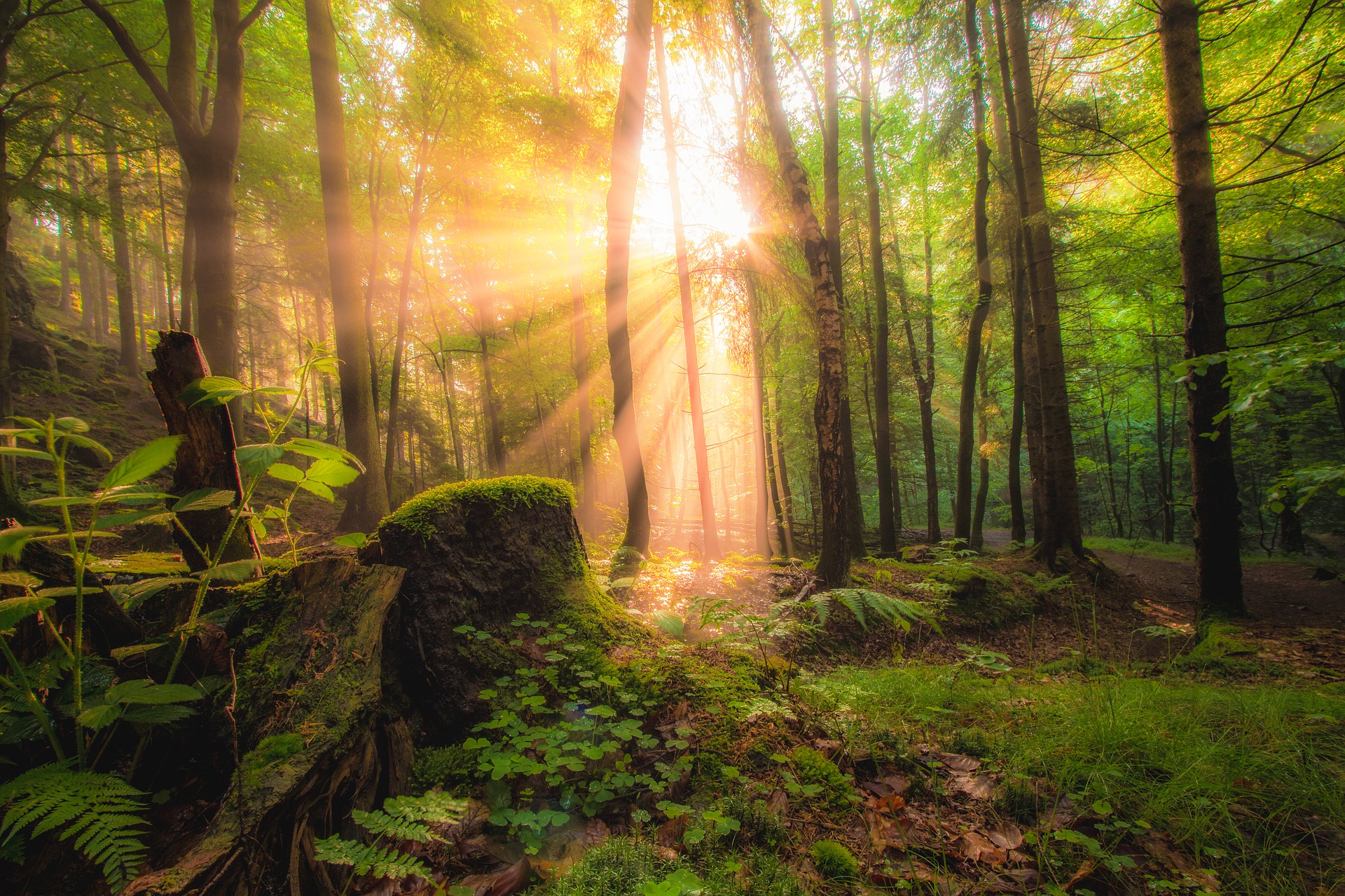 Sonnenstrahlen Sonnenstrahlen