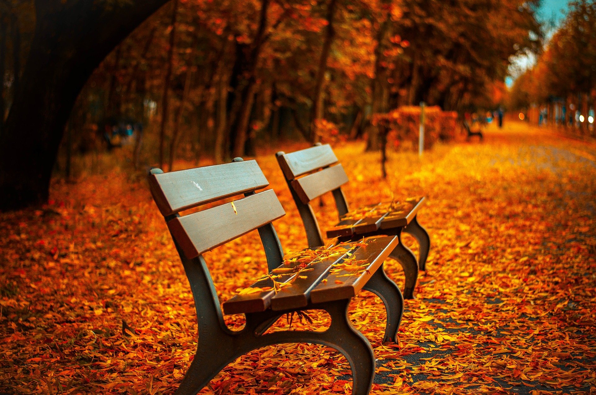 Herbst Herbst