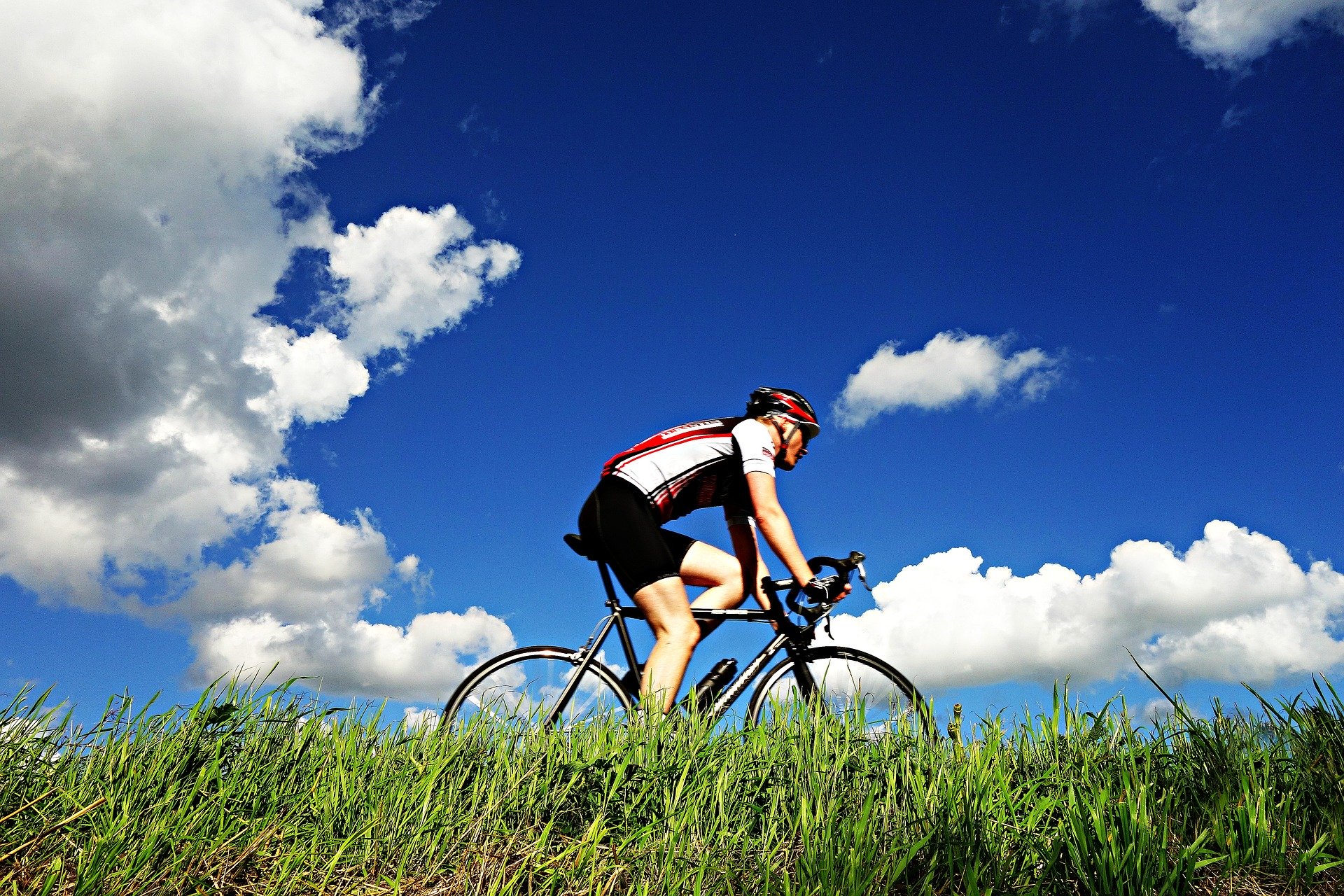 Radsportler Radsportler