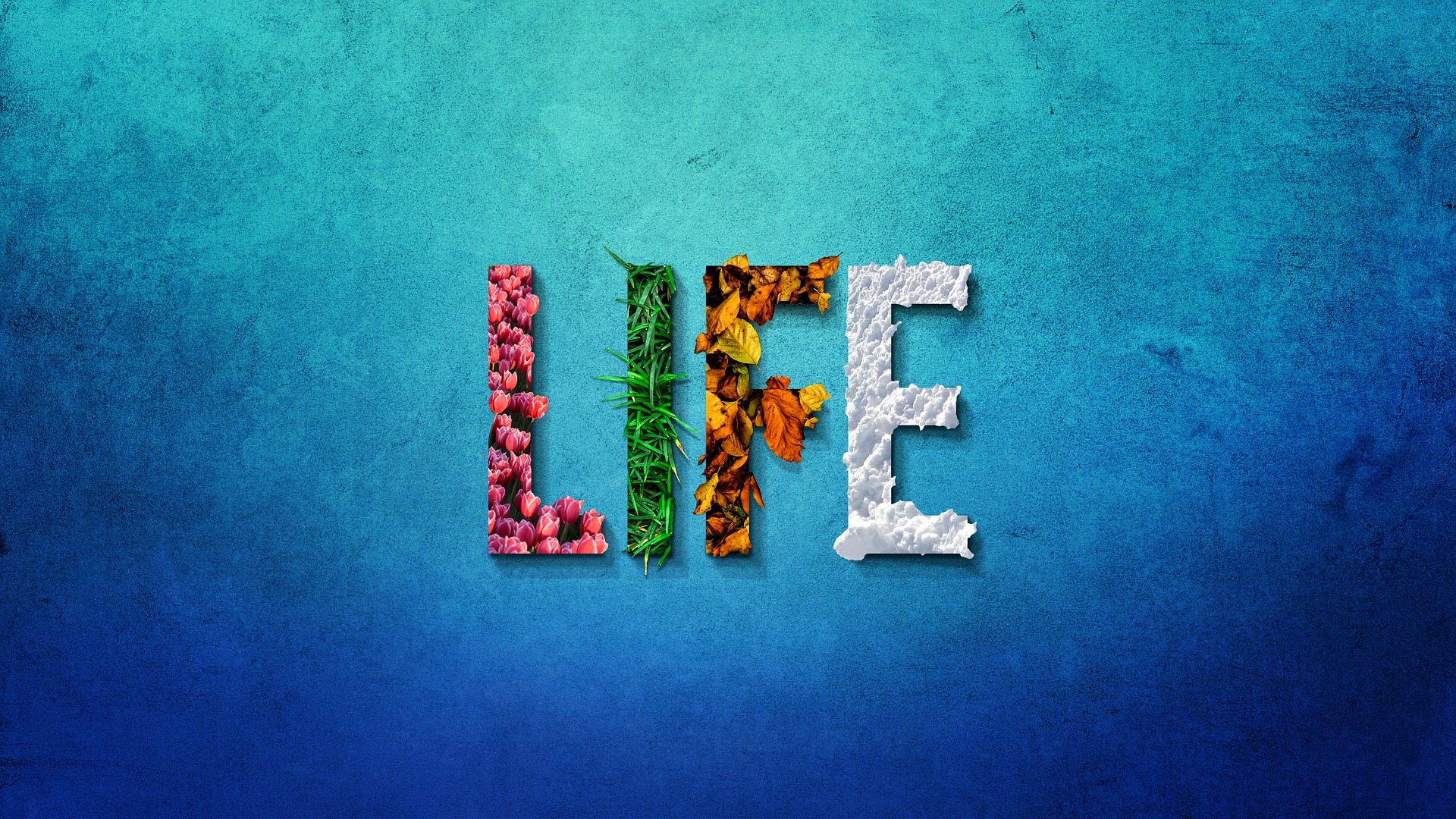 life life