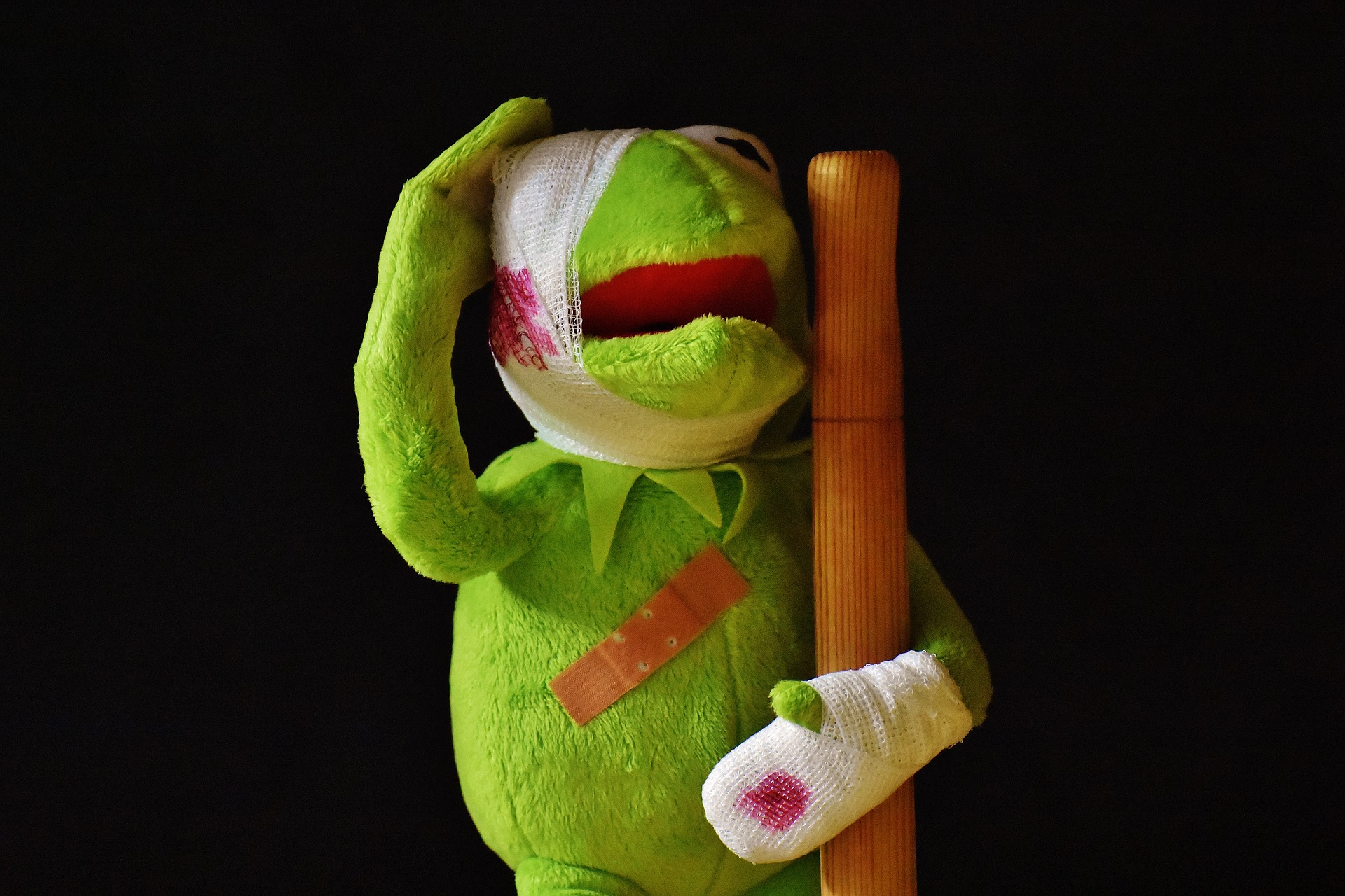 kermit-verletzt kermit-verletzt